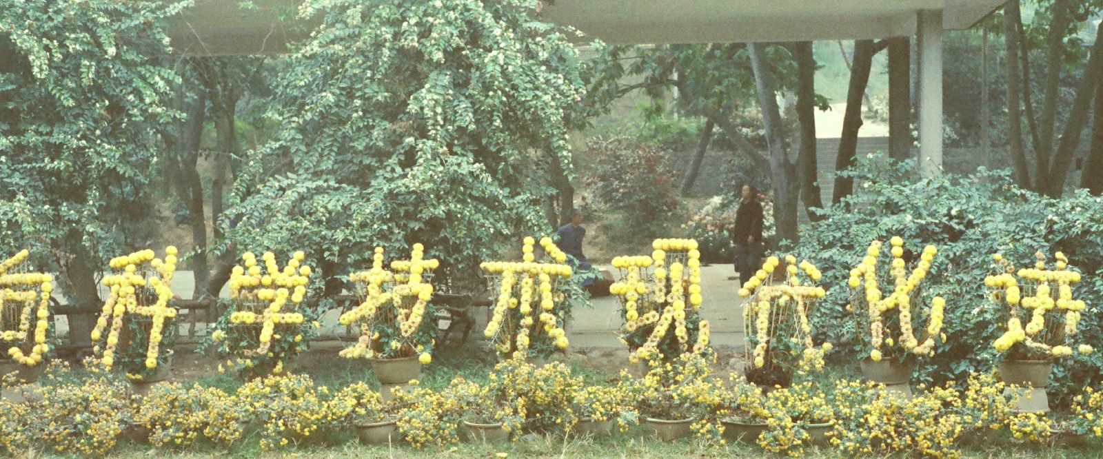 邯郸市邯山区志电子书下载