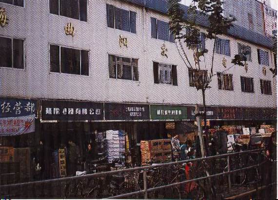 伊宁县志地方志下载