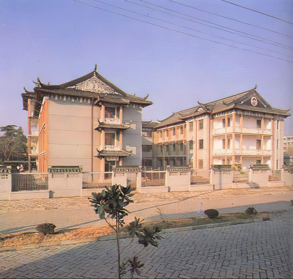 铜陵市狮子山区志电子书下载