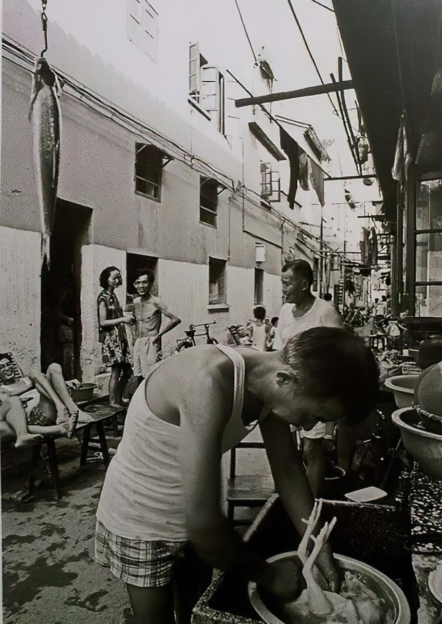 丽水县志.pdf